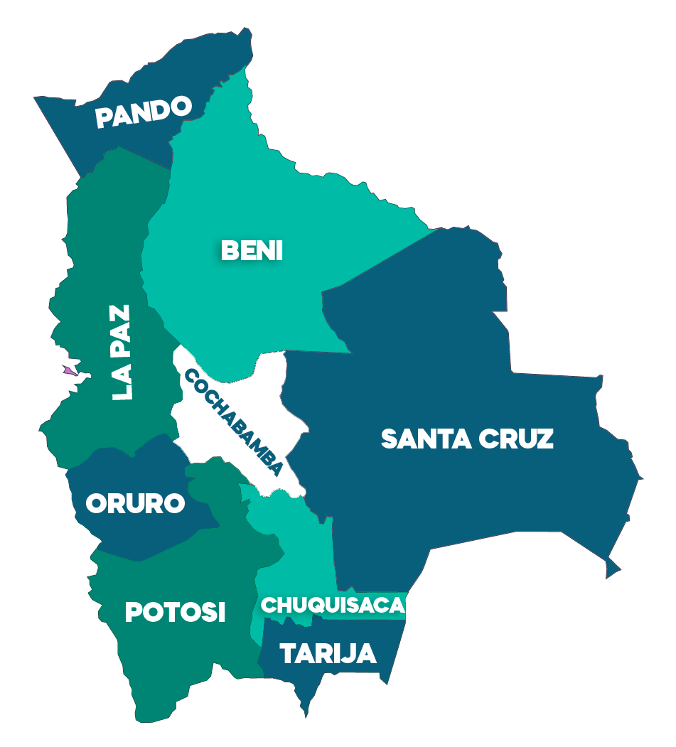 Vista previa del mapa político de Bolivia creado por IFE Educabol